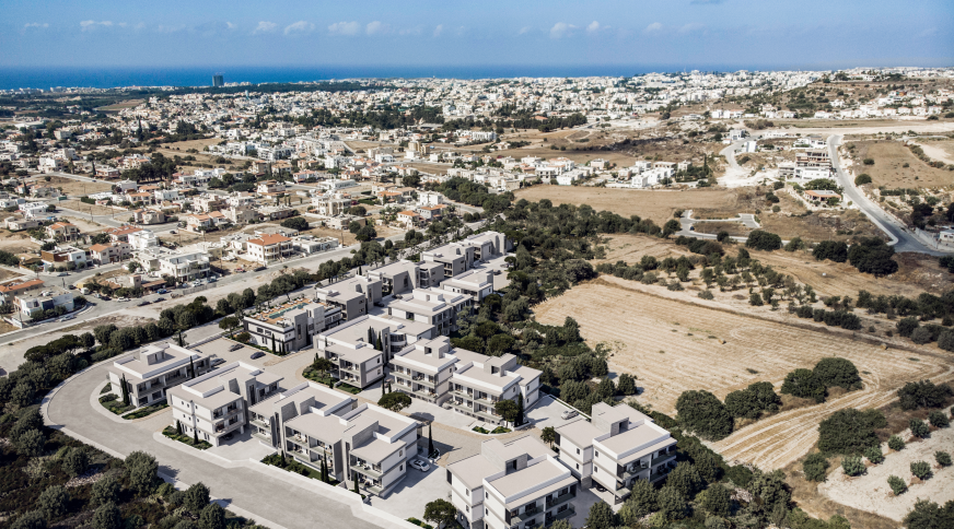 section catalog photo